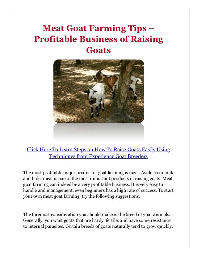 Goat farming business plan meat goats