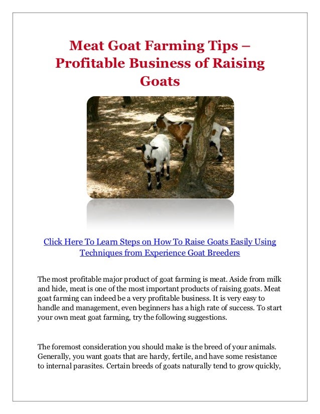 business plan for rearing goats business plan for rearing goats