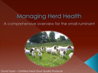 Managing Herd Health A comprehensive overview for the small ruminant David Taylor – Certified Meat Goat Quality Producer 