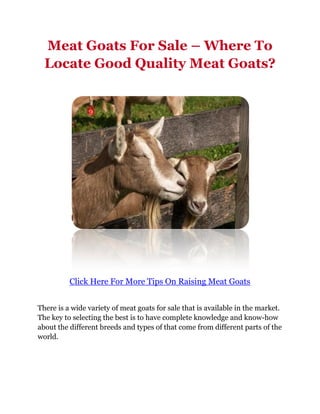 Meat Goats For Sale – Where To
  Locate Good Quality Meat Goats?




          Click Here For More Tips On Raising Meat Goats


There is a wide variety of meat goats for sale that is available in the market.
The key to selecting the best is to have complete knowledge and know-how
about the different breeds and types of that come from different parts of the
world.
 