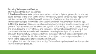 Stunner Instrument Meat hygiene and inspection | PPT