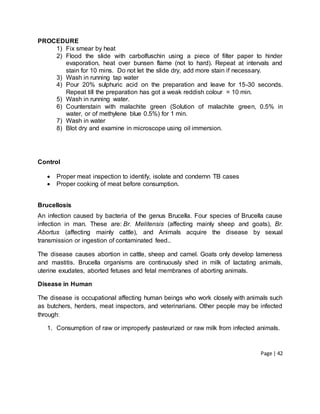 Page | 42
PROCEDURE
1) Fix smear by heat
2) Flood the slide with carbolfuschin using a piece of filter paper to hinder
evaporation, heat over bunsen flame (not to hard). Repeat at intervals and
stain for 10 mins. Do not let the slide dry, add more stain if necessary.
3) Wash in running tap water
4) Pour 20% sulphuric acid on the preparation and leave for 15-30 seconds.
Repeat till the preparation has got a weak reddish colour = 10 min.
5) Wash in running water.
6) Counterstain with malachite green (Solution of malachite green, 0.5% in
water, or of methylene blue 0.5%) for 1 min.
7) Wash in water
8) Blot dry and examine in microscope using oil immersion.
Control
 Proper meat inspection to identify, isolate and condemn TB cases
 Proper cooking of meat before consumption.
Brucellosis
An infection caused by bacteria of the genus Brucella. Four species of Brucella cause
infection in man. These are: Br. Melitensis (affecting mainly sheep and goats), Br.
Abortus (affecting mainly cattle), and Animals acquire the disease by sexual
transmission or ingestion of contaminated feed..
The disease causes abortion in cattle, sheep and camel. Goats only develop lameness
and mastitis. Brucella organisms are continuously shed in milk of lactating animals,
uterine exudates, aborted fetuses and fetal membranes of aborting animals.
Disease in Human
The disease is occupational affecting human beings who work closely with animals such
as butchers, herders, meat inspectors, and veterinarians. Other people may be infected
through:
1. Consumption of raw or improperly pasteurized or raw milk from infected animals.
 
