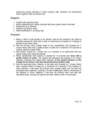 Page | 76
disrupt the purple coloration in Gram positive cells. However, the decolorized
Gram negative cells are stained red.
Reagents
 Crystal violet (primary stain)
 Iodine solution/Gram's Iodine (mordant that fixes crystal violet to cell wall)
 Decolorizer (e.g. ethanol)
 Safranin (secondary stain)
 Water (preferably in a running tap)
Procedure
1. Make a slide of cell sample to be stained. Heat fix the sample to the slide by
carefully passing the slide with a drop or small piece of sample on it through a
Bunsen burner three times.
2. Add the primary stain (crystal violet) to the sample/slide and incubate for 1
minute. Rinse slide with a gentle stream of water for a maximum of 5 seconds to
remove unbound crystal violet.
3. Add Gram's iodine for 1 minute- this is a mordant, or an agent that fixes the
crystal violet to the bacterial cell wall.
4. Rinse sample/slide with acetone or alcohol for ~3 seconds and rinse with a
gentle stream of water. The alcohol will decolorize the sample if it is Gram
negative, removing the crystal violet. However, if the alcohol remains on the
sample for too long, it may also decolorize Gram positive cells.
5. Add the secondary stain, safranin, to the slide and incubate for 1 minute. Wash
with a gentle stream of water for a maximum of 5 seconds. If the bacteria is
Gram positive, it will retain the primary stain (crystal violet) and not take the
secondary stain (safranin), causing it to look violet/purple under a microscope. If
the bacteria is Gram negative, it will lose the primary stain and take the
secondary stain, causing it to appear red when viewed under a microscope.
 