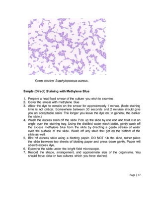 Page | 77
Gram positive Staphylococcus aureus.
Simple (Direct) Staining with Methylene Blue
1. Prepare a heat fixed smear of the culture you wish to examine
2. Cover the smear with methylene blue
3. Allow the dye to remain on the smear for approximately 1 minute. (Note staining
time is not critical. Somewhere between 30 seconds and 2 minutes should give
you an acceptable stain. The longer you leave the dye on, in general, the darker
the stain.)
4. Wash the excess stain off the slide Pick up the slide by one end and hold it at an
angle over the staining tray. Using the distilled water wash bottle, gently wash off
the excess methylene blue from the slide by directing a gentle stream of water
over the surface of the slide. Wash off any stain that got on the bottom of the
slide as well.
5. Blot off excess stain using a blotting paper. DO NOT rub the slide, rather place
the slide between two sheets of blotting paper and press down gently. Paper will
absorb excess dye.
6. Examine the slide under the bright field microscope.
7. Record the shape, arrangement, and approximate size of the organisms. You
should have data on two cultures which you have stained.
 
