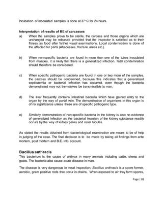 Page | 81
Incubation of inoculated samples is done at 37C for 24 hours.
Interpretation of results of BE of carcasses
a) When the samples prove to be sterile, the carcass and those organs which are
unchanged may be released provided that the inspector is satisfied as to their
fitness as food after further visual examinations. Local condemnation is done of
the affected for parts (Abscesses, fracture areas etc.)
b) When non-specific bacteria are found in more than one of the tubes inoculated
from muscles, it is likely that there is a generalized infection. Total condemnation
should therefore be considered.
c) When specific pathogenic bacteria are found in one or two more of the samples,
the carcass should be condemned, because this indicates that a generalized
septicaemia or bacterial infection has occurred, even though the bacteria
demonstrated may not themselves be transmissible to man.
d) The liver frequently contains intestinal bacteria which have gained entry to the
organ by the way of portal vein. The demonstration of organisms in this organ is
of no significance unless these are of specific pathogenic type.
e) Similarly demonstration of non-specific bacteria in the kidney is also no evidence
of generalized infection as the bacterial invasion of the kidney substance readily
occurs by the way of kidney pelvis and renal tubules.
As stated the results obtained from bacteriological examination are meant to be of help
in judging of the case. The final decision is to be made by taking all findings from ante
mortem, post mortem and B.E. into account.
Bacillus anthracis
This bacterium is the cause of anthrax in many animals including cattle, sheep and
goats. The bacteria also cause acute disease in man.
The disease is very dangerous in meat inspection. Bacillus anthracis is a spore former,
aerobic, gram positive rods that occur in chains. When exposed to air they form spores,
 