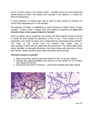 Page | 82
but do not form spores in vivo (blood smear). If inhaled, spore can cause pulmonary
anthrax leading to death. The bacteria form capsules in the organism or if grown on
50% CO2 atmosphere.
In meat inspection, an anthrax case may be seen as dead animals on transport, on
arrival at the slaughterhouse or in the lairages.
The diagnosis of anthrax is established by direct microscopy of blood smear or organ
samples. A blood smear is always done when anthrax is suspected and great care
should be taken when suspect material is handled
When an anthrax case is diagnosed, the carcass and other materials should be burned
or buried 6ft deep followed by application of lime on top. If the carcass is to be
transported, care should be taken not to contaminate the environment during transport.
The head of the animal must be covered with plastic bag to
avoid leakage of blood that will contaminate the environment. The contaminated areas
should thereafter be thoroughly disinfected. Any human beings who have been in touch
with infected material should be given doses of penicillin and vaccinated.
Staining for presence of capsules
1. Blood smear fixed, either by good heat fixation or with 1% mercury chloride.
2. Staining with polychromethylene blue shall act on the bacteria for 3-5 minutes,
then washed off and dry.
3. Microscopy done with oil immersion. Look for blue bacteria with purple capsule
 