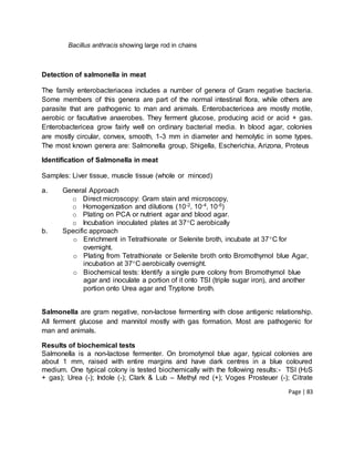 Page | 83
Bacillus anthracis showing large rod in chains
Detection of salmonella in meat
The family enterobacteriacea includes a number of genera of Gram negative bacteria.
Some members of this genera are part of the normal intestinal flora, while others are
parasite that are pathogenic to man and animals. Enterobactericea are mostly motile,
aerobic or facultative anaerobes. They ferment glucose, producing acid or acid + gas.
Enterobactericea grow fairly well on ordinary bacterial media. In blood agar, colonies
are mostly circular, convex, smooth, 1-3 mm in diameter and hemolytic in some types.
The most known genera are: Salmonella group, Shigella, Escherichia, Arizona, Proteus
Identification of Salmonella in meat
Samples: Liver tissue, muscle tissue (whole or minced)
a. General Approach
o Direct microscopy: Gram stain and microscopy,
o Homogenization and dilutions (10-2, 10-4, 10-6)
o Plating on PCA or nutrient agar and blood agar.
o Incubation inoculated plates at 37C aerobically
b. Specific approach
o Enrichment in Tetrathionate or Selenite broth, incubate at 37C for
overnight.
o Plating from Tetrathionate or Selenite broth onto Bromothymol blue Agar,
incubation at 37C aerobically overnight.
o Biochemical tests: Identify a single pure colony from Bromothymol blue
agar and inoculate a portion of it onto TSI (triple sugar iron), and another
portion onto Urea agar and Tryptone broth.
Salmonella are gram negative, non-lactose fermenting with close antigenic relationship.
All ferment glucose and mannitol mostly with gas formation. Most are pathogenic for
man and animals.
Results of biochemical tests
Salmonella is a non-lactose fermenter. On bromotymol blue agar, typical colonies are
about 1 mm, raised with entire margins and have dark centres in a blue coloured
medium. One typical colony is tested biochemically with the following results:- TSI (H2S
+ gas); Urea (-); Indole (-); Clark & Lub – Methyl red (+); Voges Prosteuer (-); Citrate
 