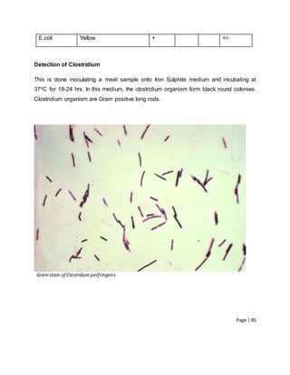 Page | 85
Detection of Clostridium
This is done inoculating a meat sample onto Iron Sulphite medium and incubating at
37oC for 18-24 hrs. In this medium, the clostridium organism form black round colonies.
Clostridium organism are Gram positive long rods.
Gramstain of Clostridumperfringens
E.coli Yellow + +/-
 