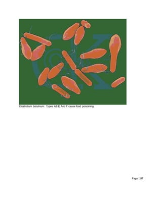 Page | 87
Clostridium botulinum: Types AB E And F cause food poisoining.
 
