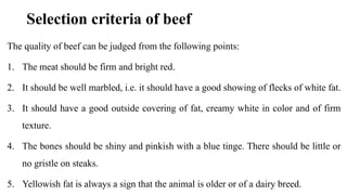 Comprehensive Guide to Meat Identification, Classification, and ...
