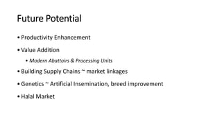 Future Potential
•Productivity Enhancement
•Value Addition
• Modern Abattoirs & Processing Units
•Building Supply Chains ~ market linkages
•Genetics ~ Artificial Insemination, breed improvement
•Halal Market
 