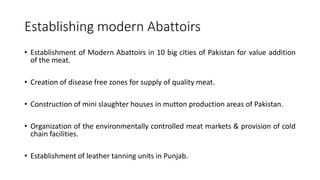 Establishing modern Abattoirs
• Establishment of Modern Abattoirs in 10 big cities of Pakistan for value addition
of the meat.
• Creation of disease free zones for supply of quality meat.
• Construction of mini slaughter houses in mutton production areas of Pakistan.
• Organization of the environmentally controlled meat markets & provision of cold
chain facilities.
• Establishment of leather tanning units in Punjab.
 