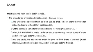 Meat
Meat is animal flesh that is eaten as food.
• The importance of meat and meat animals - Quranic versus:
And we have Subjected them to their use, so that some of them they use for
riding And some (others) they eat (Yasin:73).
Of the cattle are some for burden and some for meat (Al-Anam:143).
Allah, it is He Who has made cattle for you, that you may ride on some of them
and of some you eat (Al-Mumen:79).
And the cattle, He has created them for you; in them there is warmth (warm
clothing), and numerous benefits, and of them you eat (An-Nahl:5).
 