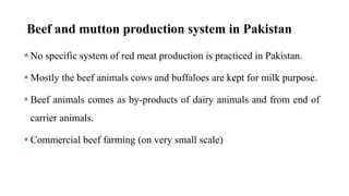 Beef and mutton production system in Pakistan
 No specific system of red meat production is practiced in Pakistan.
 Mostly the beef animals cows and buffaloes are kept for milk purpose.
 Beef animals comes as by-products of dairy animals and from end of
carrier animals.
 Commercial beef farming (on very small scale)
 