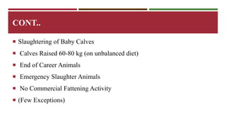 CONT.. 
 Slaughtering of Baby Calves 
 Calves Raised 60-80 kg (on unbalanced diet) 
 End of Career Animals 
 Emergency Slaughter Animals 
 No Commercial Fattening Activity 
 (Few Exceptions) 
 