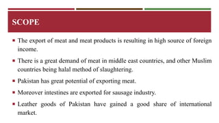 SCOPE 
 The export of meat and meat products is resulting in high source of foreign 
income. 
 There is a great demand of meat in middle east countries, and other Muslim 
countries being halal method of slaughtering. 
 Pakistan has great potential of exporting meat. 
 Moreover intestines are exported for sausage industry. 
 Leather goods of Pakistan have gained a good share of international 
market. 
 