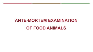 ANTE-MORTEM EXAMINATION 
OF FOOD ANIMALS 
 