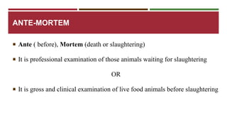 ANTE-MORTEM 
 Ante ( before), Mortem (death or slaughtering) 
 It is professional examination of those animals waiting for slaughtering 
OR 
 It is gross and clinical examination of live food animals before slaughtering 
 