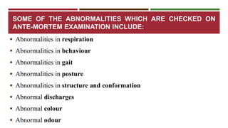 SOME OF THE ABNORMALITIES WHICH ARE CHECKED ON 
ANTE-MORTEM EXAMINATION INCLUDE: 
 Abnormalities in respiration 
 Abnormalities in behaviour 
 Abnormalities in gait 
 Abnormalities in posture 
 Abnormalities in structure and conformation 
 Abnormal discharges 
 Abnormal colour 
 Abnormal odour 
 