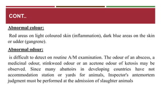 CONT.. 
Abnormal colour: 
Red areas on light coloured skin (inflammation), dark blue areas on the skin 
or udder (gangrene). 
Abnormal odour: 
is difficult to detect on routine A/M examination. The odour of an abscess, a 
medicinal odour, stinkweed odour or an acetone odour of ketosis may be 
observed. Since many abattoirs in developing countries have not 
accommodation station or yards for animals, Inspector's antemortem 
judgment must be performed at the admission of slaughter animals 
 