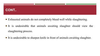 CONT.. 
 Exhausted animals do not completely bleed well while slaughtering. 
 It is undesirable that animals awaiting slaughter should view the 
slaughtering process. 
 It is undesirable to sharpen knife in front of animals awaiting slaughter. 
 