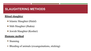 SLAUGHTERING METHODS 
Ritual slaughter 
 Islamic Slaughter (Halal) 
 Sikh Slaughter (Jhakta) 
 Jewish Slaughter (Kosher) 
Humane method 
 Stunning 
 Bleeding of animals (exsanguinations, sticking) 
 