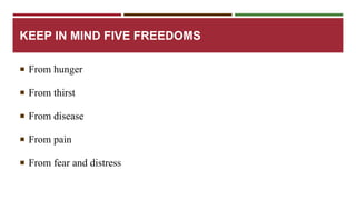 KEEP IN MIND FIVE FREEDOMS 
 From hunger 
 From thirst 
 From disease 
 From pain 
 From fear and distress 
 