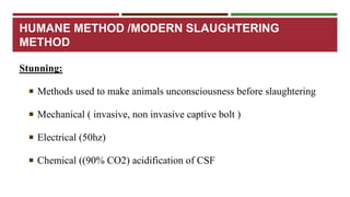 HUMANE METHOD /MODERN SLAUGHTERING 
METHOD 
Stunning: 
 Methods used to make animals unconsciousness before slaughtering 
 Mechanical ( invasive, non invasive captive bolt ) 
 Electrical (50hz) 
 Chemical ((90% CO2) acidification of CSF 
 