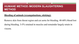 HUMANE METHOD /MODERN SLAUGHTERING 
METHOD 
Bleeding of animals (exsanguinations, sticking): 
Remove skin from throat region and cut aorta for bleeding. 40-60% blood lost 
during bleeding. 3-5% retained in muscles and remainder largely retain in 
viscera. 
 