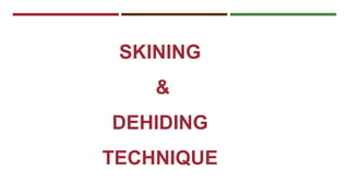 SKINING 
& 
DEHIDING 
TECHNIQUE 
 