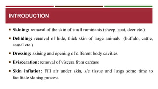 INTRODUCTION 
 Skining: removal of the skin of small ruminants (sheep, goat, deer etc.) 
 Dehiding: removal of hide, thick skin of large animals (buffalo, cattle, 
camel etc.) 
 Dressing: skining and opening of different body cavities 
 Evisceration: removal of viscera from carcass 
 Skin inflation: Fill air under skin, s/c tissue and lungs some time to 
facilitate skining process 
 