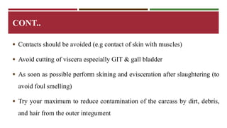 CONT.. 
 Contacts should be avoided (e.g contact of skin with muscles) 
 Avoid cutting of viscera especially GIT & gall bladder 
 As soon as possible perform skining and evisceration after slaughtering (to 
avoid foul smelling) 
 Try your maximum to reduce contamination of the carcass by dirt, debris, 
and hair from the outer integument 
 