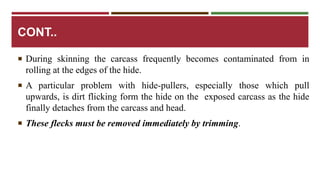 CONT.. 
 During skinning the carcass frequently becomes contaminated from in 
rolling at the edges of the hide. 
 A particular problem with hide-pullers, especially those which pull 
upwards, is dirt flicking form the hide on the exposed carcass as the hide 
finally detaches from the carcass and head. 
 These flecks must be removed immediately by trimming. 
 
