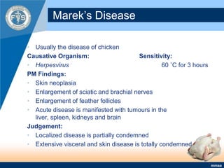 Marek’s DiseaseUsually the disease of chickenCausative Organism:			Sensitivity:Herpesvirus 					60 ˚C for 3 hoursPM Findings:Skin neoplasiaEnlargement of sciatic and brachial nervesEnlargement of feather folliclesAcute disease is manifested with tumours in the liver, spleen, kidneys and brain Judgement:Localized disease is partially condemnedExtensive visceral and skin disease is totally condemned 