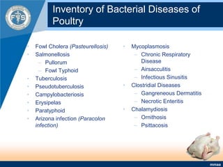 Inventory of Bacterial Diseases of PoultryFowl Cholera (Pasteurellosis)Salmonellosis PullorumFowl TyphoidTuberculosis Pseudotuberculosis Campylobacteriosis Erysipelas ParatyphoidArizona infection (Paracolon infection)Mycoplasmosis Chronic Respiratory DiseaseAirsacculitisInfectious SinusitisClostridial DiseasesGangreneous DermatitisNecrotic EnteritisChalamydiosis Ornithosis Psittacosis 