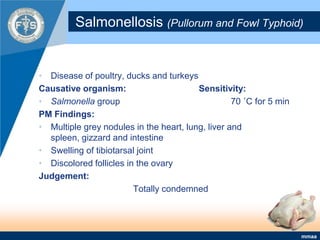 Salmonellosis (Pullorum and Fowl Typhoid)Disease of poultry, ducks and turkeysCausative organism:			Sensitivity:Salmonella group 				70 ˚C for 5 minPM Findings:Multiple grey nodules in the heart, lung, liver and spleen, gizzard and intestineSwelling of tibiotarsal jointDiscolored follicles in the ovaryJudgement:Totally condemned 