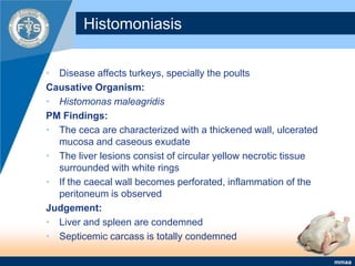 Mycotoxicosis (Aflatoxicosis)Miscelleneous DiseasesAscites (Congestive Heart Failure)