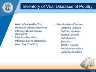 Inventory of Viral Diseases of PoultryAvian Influenza (Bird Flu)Newcastle Disease (Ranikhet)Infectious Bursal Disease (Gumboro)Infectious BronchitisInfectious Laryngeotracheitis Avian Pox (Fowl Pox)Avian Leukosis ComplexLymphoid LeukosisErythroid LeukosisMyeloid LeukosisEndothelioma Sarcoma Marek’s DiseaseReticuloendotheliosis Lymphoproliferation