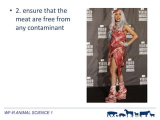 Meat Inspection Procedures | PPTX