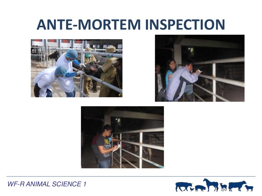 Meat Inspection Procedures
