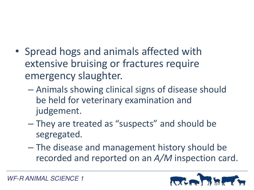 Meat Inspection Procedures