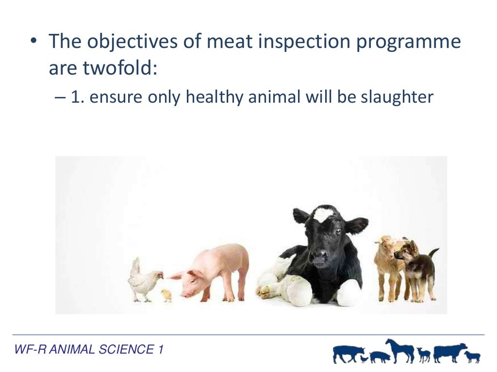 Meat Inspection Procedures