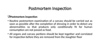 Postmortem Inspection
Postmortem inspection
• Routine postmortem examination of a carcass should be carried out as
soon as possible after the completion of dressing in order to detect any
abnormalities so that products only conditionally fit for human
consumption are not passed as food.
• All organs and carcass portions should be kept together and correlated
for inspection before they are removed from the slaughter floor
 