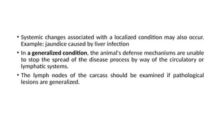 • Systemic changes associated with a localized condition may also occur.
Example: jaundice caused by liver infection
• In a generalized condition, the animal's defense mechanisms are unable
to stop the spread of the disease process by way of the circulatory or
lymphatic systems.
• The lymph nodes of the carcass should be examined if pathological
lesions are generalized.
 