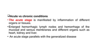 Acute vs chronic conditions
•The acute stage is manifested by inflammation of different
organs or tissues.
•Enlarged hemorrhagic lymph nodes and hemorrhage of the
mucosal and serous membranes and different organs such as
heart, kidney and liver.
• An acute stage parallels with the generalized disease
 