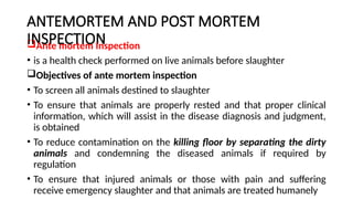 ANTEMORTEM AND POST MORTEM
INSPECTION
Ante mortem Inspection
• is a health check performed on live animals before slaughter
Objectives of ante mortem inspection
• To screen all animals destined to slaughter
• To ensure that animals are properly rested and that proper clinical
information, which will assist in the disease diagnosis and judgment,
is obtained
• To reduce contamination on the killing floor by separating the dirty
animals and condemning the diseased animals if required by
regulation
• To ensure that injured animals or those with pain and suffering
receive emergency slaughter and that animals are treated humanely
 