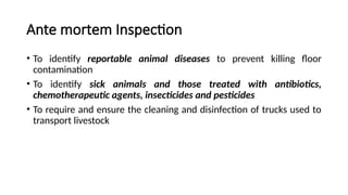 Ante mortem Inspection
• To identify reportable animal diseases to prevent killing floor
contamination
• To identify sick animals and those treated with antibiotics,
chemotherapeutic agents, insecticides and pesticides
• To require and ensure the cleaning and disinfection of trucks used to
transport livestock
 