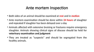 Ante mortem Inspection
• Both sides of an animal should be examined at rest and in motion
• Ante mortem examination should be done within 24 hours of slaughter
and repeated if slaughter has been delayed over a day
• Animals affected with extensive bruising or fractures require emergency
slaughter. Animals showing clinical signs of disease should be held for
veterinary examination and judgment
• They are treated as “suspects” and should be segregated from the
healthy animals.
 