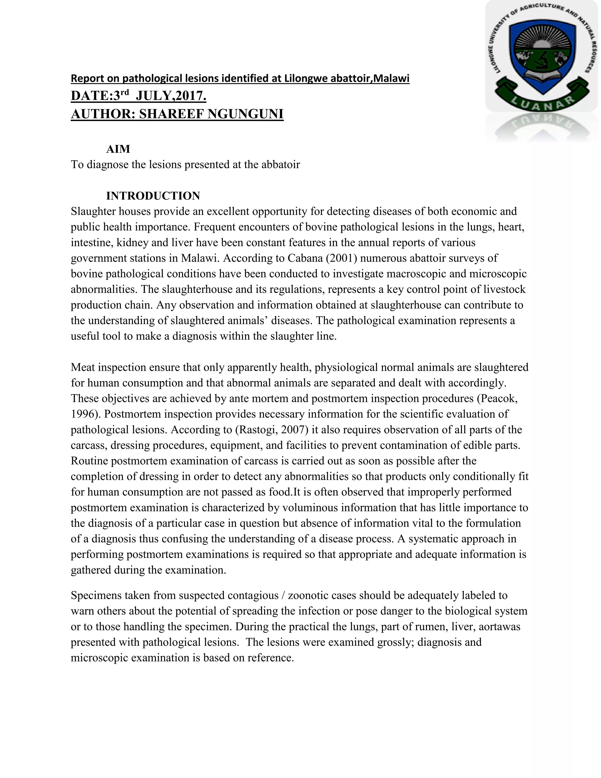 Meat inspection lesions | PDF