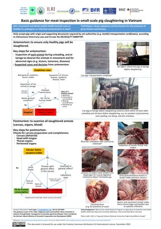 Basic guidance for meat inspection in small-scale pig slaughtering in Vietnam
References: 1
https://www.efsa.europa.eu/en/topics/topic/meat-inspection and Circular No. 09/2016/TT-BNNPTNT; 2 https://nongnghiep.vn/ket-qua-xet-nghiem-dich-ta-lon-chau-phi-co-hieu-luc-bao-lau-d242418.html
Aim: to prevent and detect public health hazards such as
foodborne pathogens or chemical contaminants in meat1
Techniques: visual, palpatory and by incision for the presence of
gross lesions and bruises.
Only accept pigs with origin and supporting documents required by vet authorities (e.g. health/ transportation certificates), according
to Vietnamese Veterinary Law and Circular No.09/2016/TT-BNNPTNT
Antemortem: to ensure only healthy pigs will be
slaughtered.
Key steps for antemortem:
- Inspection of each animal during unloading, and at
lairage to observe the animals in movement and for
abnormal signs (e.g. lesions, lameness, diseases)
- Suspected cases and decision from antemortem:
Live pigs’ transportation certificate2
Vet officer checks live pigs at lairage
before slaughtering.
Live pigs at lairage before slaughtering (need to check within 24 hours after
unloading and 24 hours before slaughtering, e.g. on symptom of pneumonia,
joint swelling, ear biting, and skin irritations.
Postmortem: to examine all slaughtered animals
(carcass, organs, blood)
Key steps for postmortem:
Checks for carcass preparation and completeness
- Carcass (dehaired)
- Head with tongue
- Thorax organs
- Peritoneal organs
Muscular infestation with Cysticercus
cellulosae*
Location to collect meat sample from
diaphragm for muscle digestion
method to detect Trichinella spp.
Checking heart
(e.g. for presence of cysts)
Inspection of mouth, throat, and
tongue
Gross granulomatous lesions in
lymph nodes (pharynx, larynx,)
Gastric and mesenteric lymph nodes
(here hemorrhagic and swollen due
to systemic infection)
Contact information: Fred Unger, F.Unger@cgiar.org, +84 24 32373995
This guidance is part of the ‘Safer indigenous pork and healthier ethnic minorities in
Vietnam through better management of parasitic pig-borne diseases’ that is funded by
the German Federal Ministry of Economic Cooperation and Development (BMZ)
Acknowledgement: BMZ and the CGIAR Research Program on Agriculture for Nutrition and Health
(A4NH), Maximilian Baumann and Diana Meemken, Freie Universität Berlin, Germany
Photo credit: ILRI/ Le Trang and Vietnam National University of Agriculture/Nhiem Duong*
This document is licensed for use under the Creative Commons Attribution 4.0 International Licence. December 2020
 